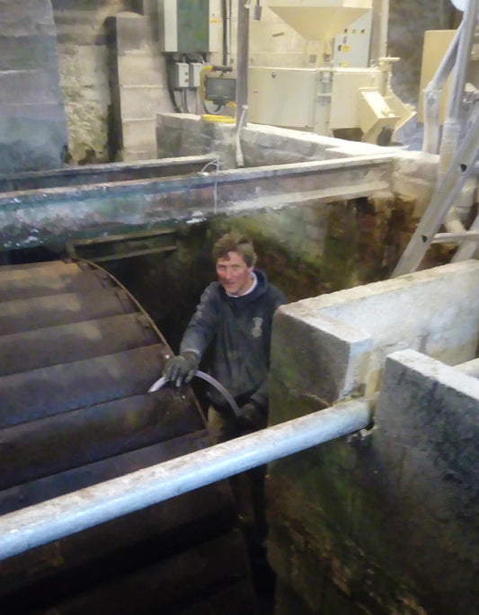 Water Wheel Bearing